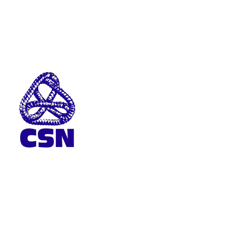 Confédération des syndicats nationaux - Solidaire depuis 1921