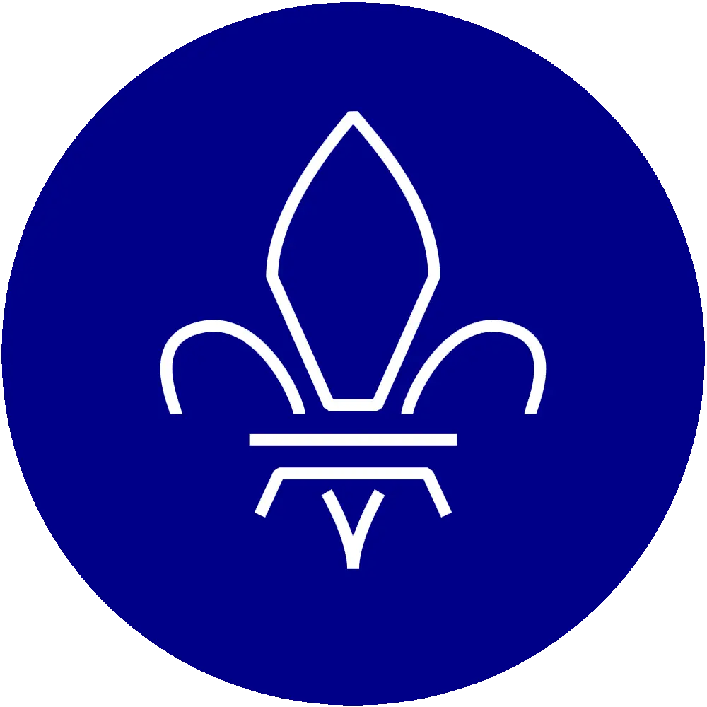 Pictogramme - Fleur de lys - Connaissance et enseignement de l’histoire nationale